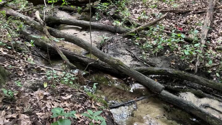 Thumbnail image for History of the Land and Water - Season of Creation 2026